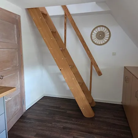 Daire Einsiedlerkrebs Norderney