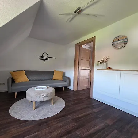 Einsiedlerkrebs Apartamento