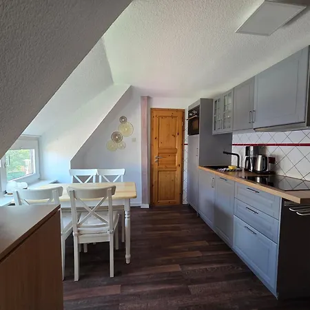 Einsiedlerkrebs * Norderney